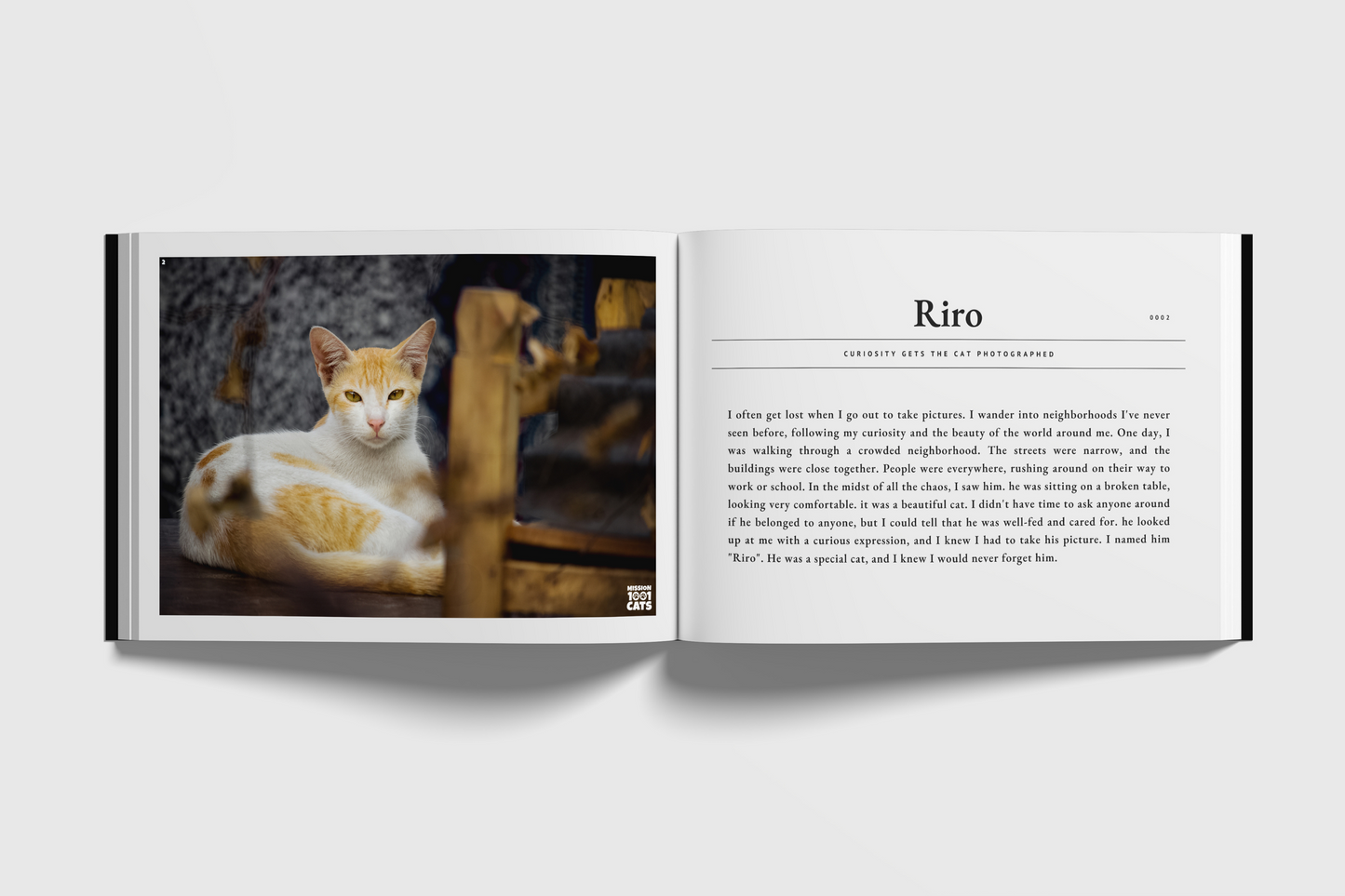 Mission 1001 Cats: A Photo Journey Towards Ending Curtly Against Cats (Volume I)