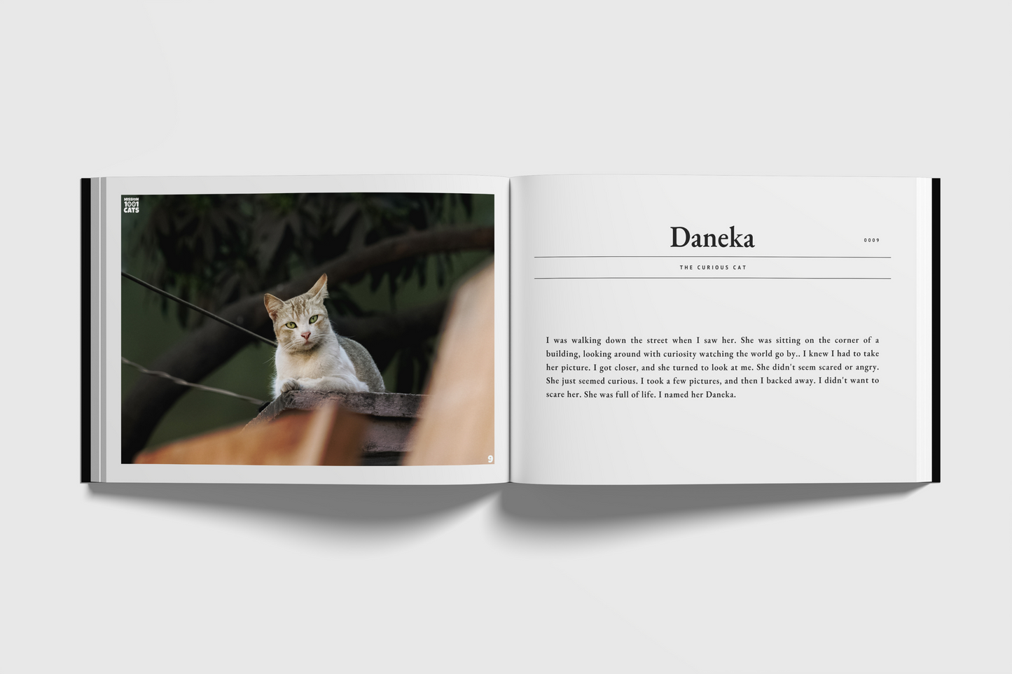 Mission 1001 Cats: A Photo Journey Towards Ending Curtly Against Cats (Volume I)