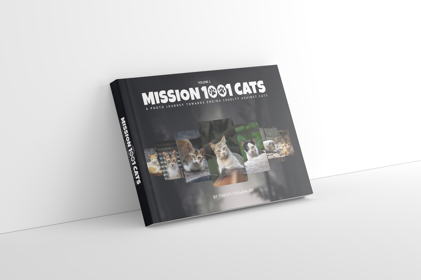 Mission 1001 Cats: A Photo Journey Towards Ending Curtly Against Cats (Volume I)