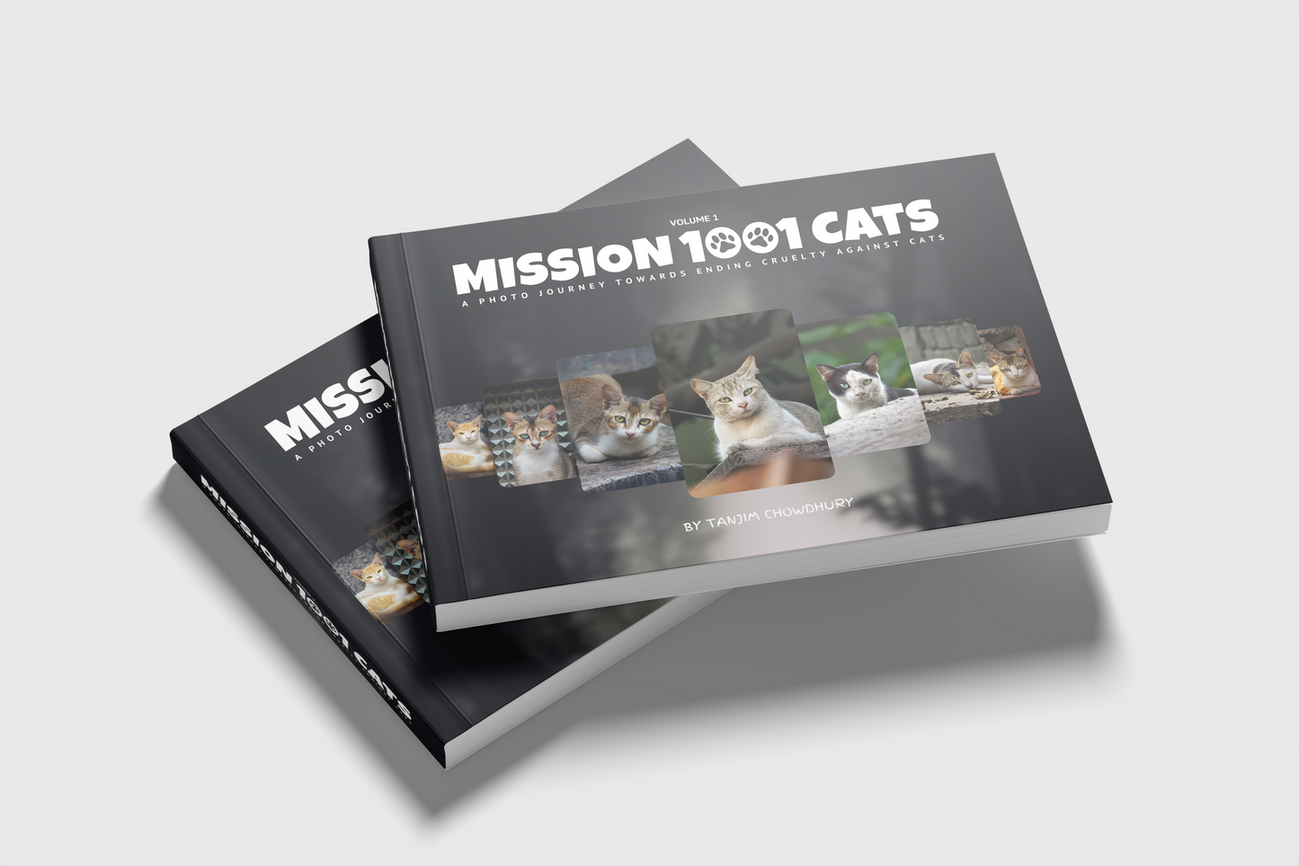 Mission 1001 Cats: A Photo Journey Towards Ending Curtly Against Cats (Volume I)