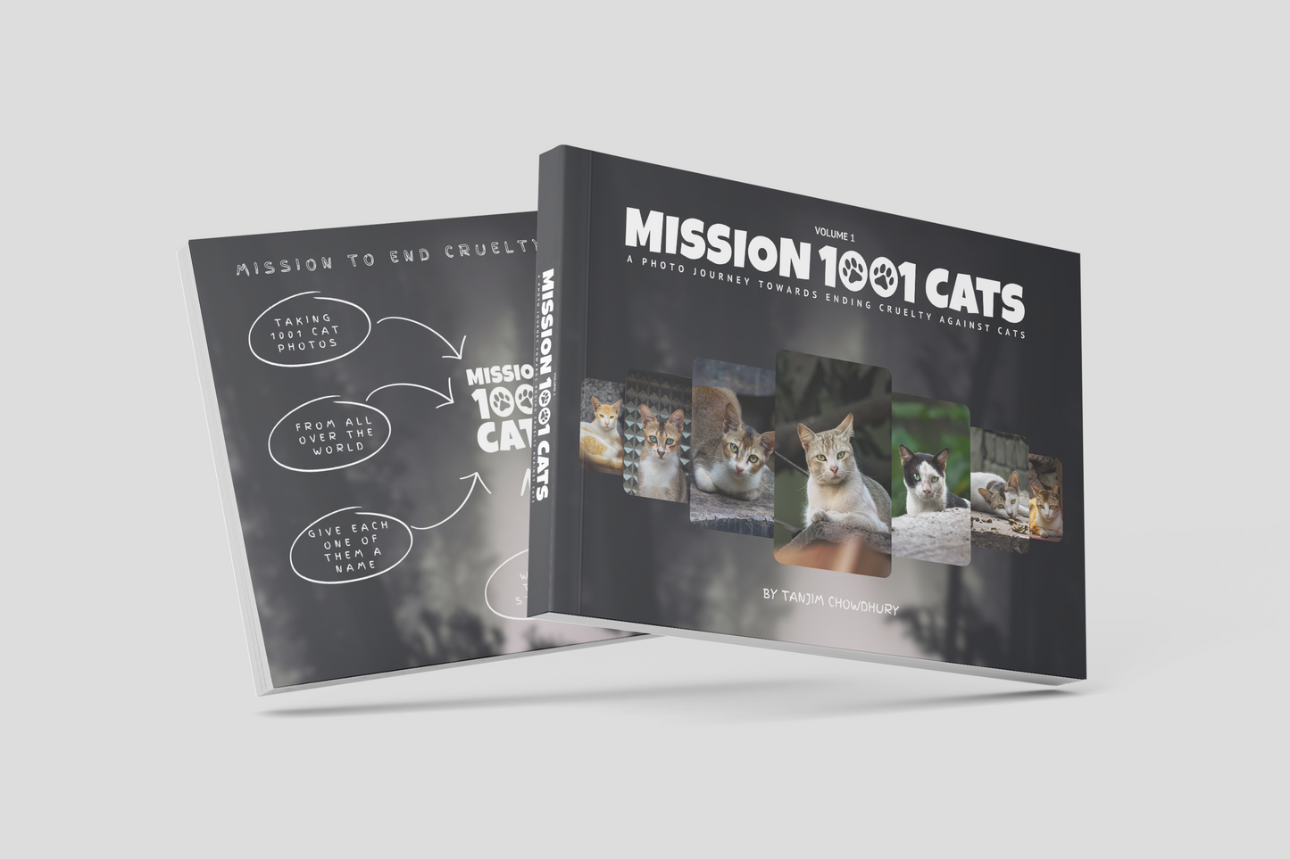 Mission 1001 Cats: A Photo Journey Towards Ending Curtly Against Cats (Volume I)