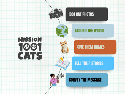 Mission 1001 Cats Photobook: Vol I