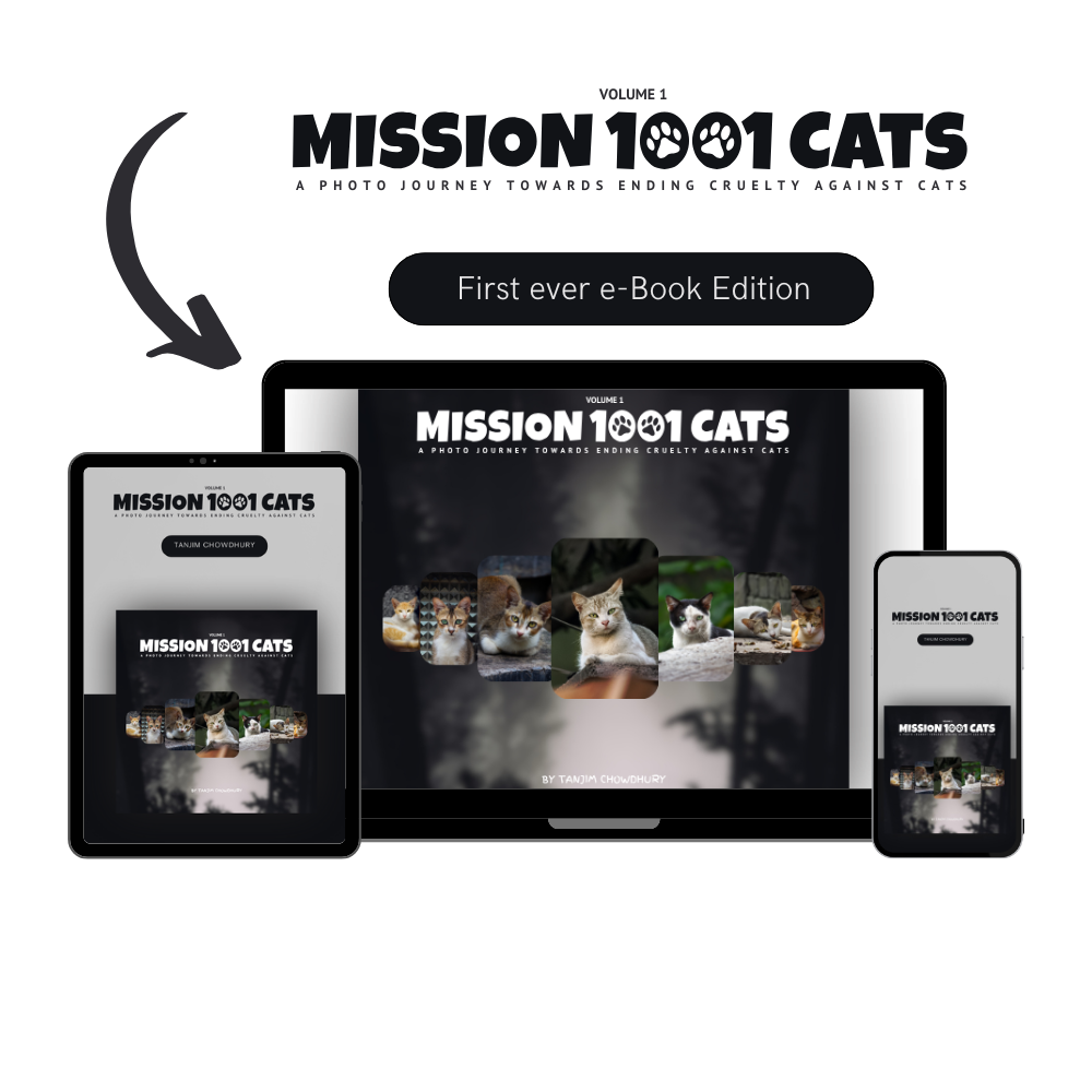 e-Book Mission 1001 Cats