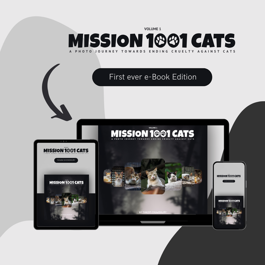 e-Book Mission 1001 Cats